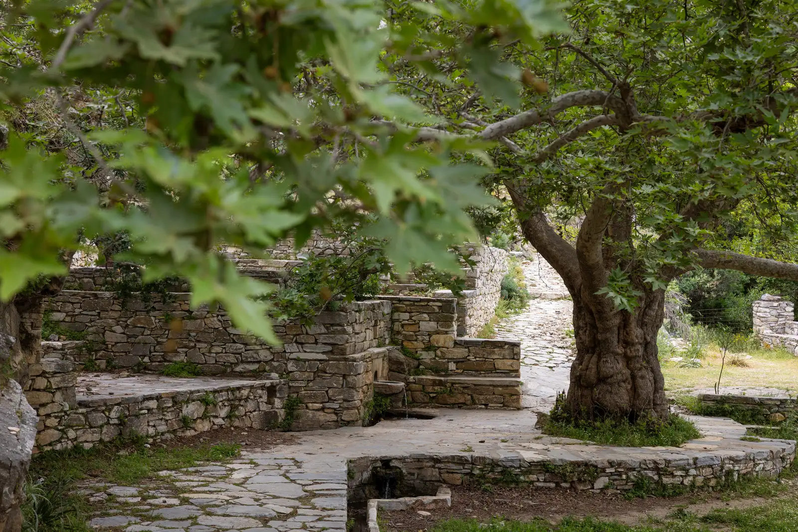 Cave of Zeus